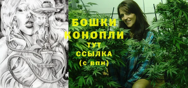 гидра Новодвинск