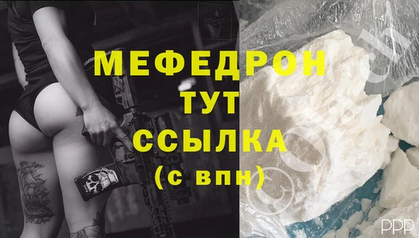 гидра Новодвинск