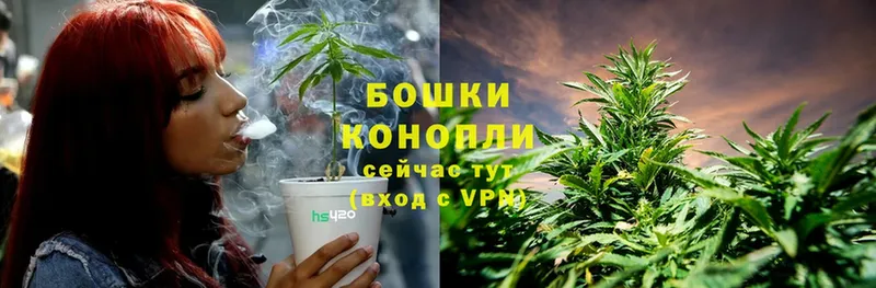 купить  сайты  Нелидово  Шишки марихуана SATIVA & INDICA 